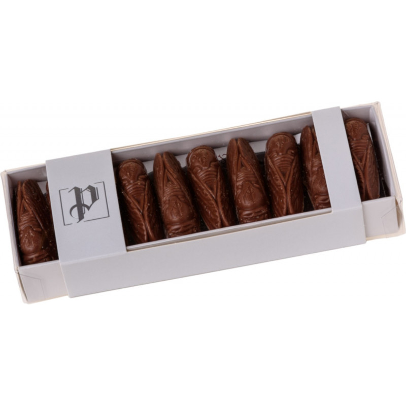 Réglette de cigales provençale en chocolat - chocolaterie de Puyricard